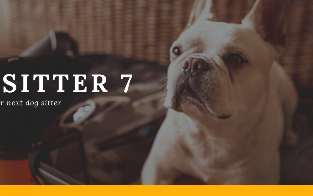 The Sitter 7: How to Screen Your Next Dog Sitter