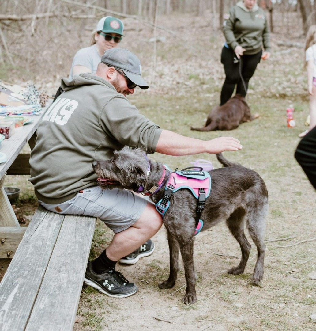 Stunning Dog Trainers Albany Ny Capture Collection Stunning Dog Trainers Albany Ny Capture Collection