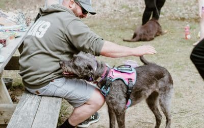 Meet Eric, Certified Obedience Trainer