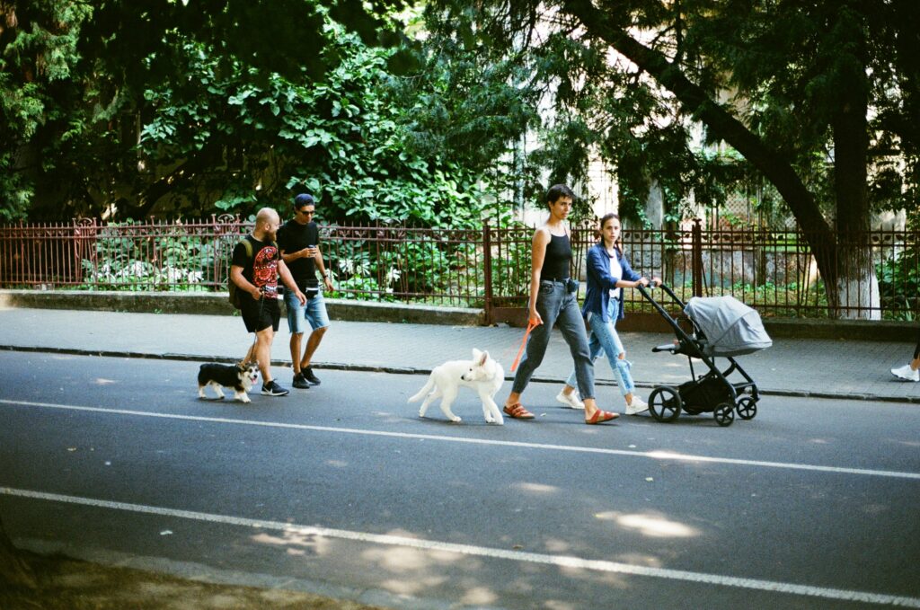 The Benefits of Pack Walks for You and Your Dog