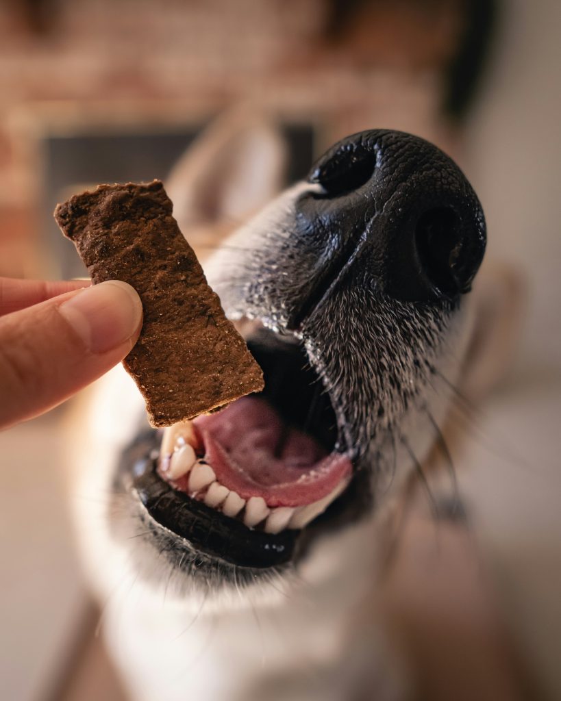 Healthy Food Additives to Help Your Dog Gain Weight