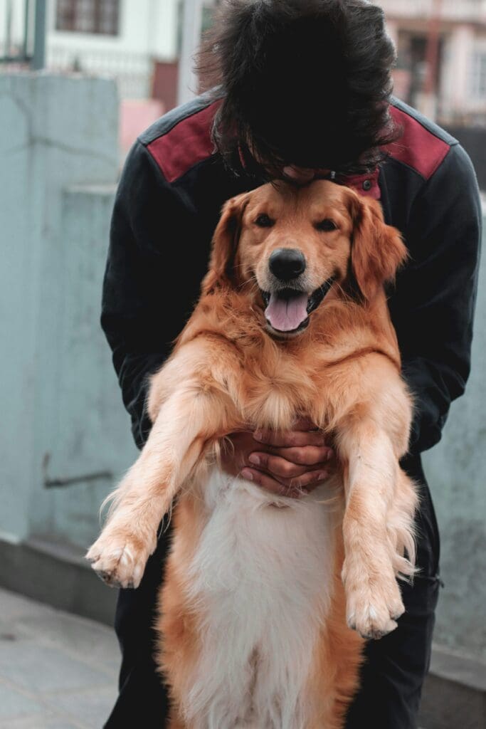 Service Animals: What They Do and Who They Help