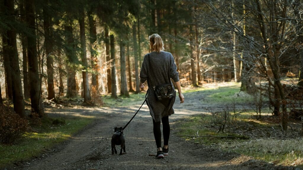 Mental Stimulation on the Move: How Walks Enrich Your Dog’s Mind