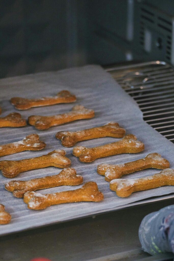 What ‘Natural’ Really Means on Dog Treat Packaging