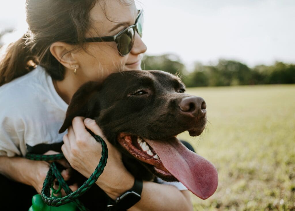 Quality Time: Why Dogs Just Want to Be Near You