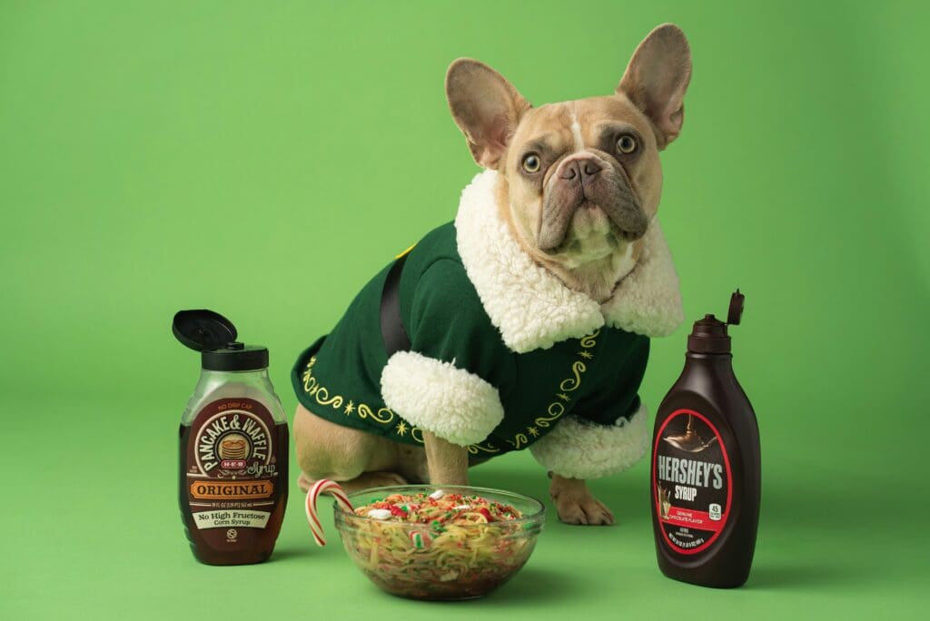 Frozen Christmas Treats Your Dog Will Love