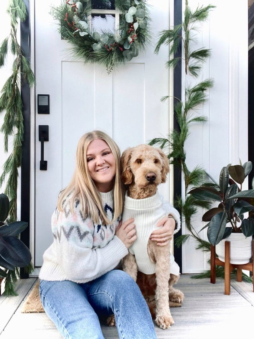 Dog Training Albany