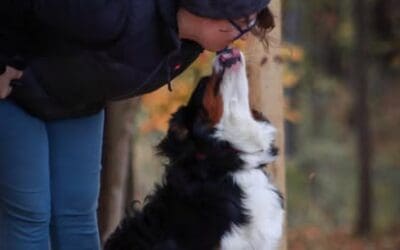 Meet Crystal, Certified Behavioral Modification and Obedience Specialist