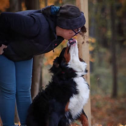 Woman kissing Bernese Mountain Dog outdoors during fall training session