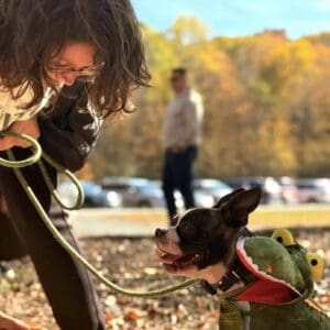 Boston terrier in costume with handler at fall event
